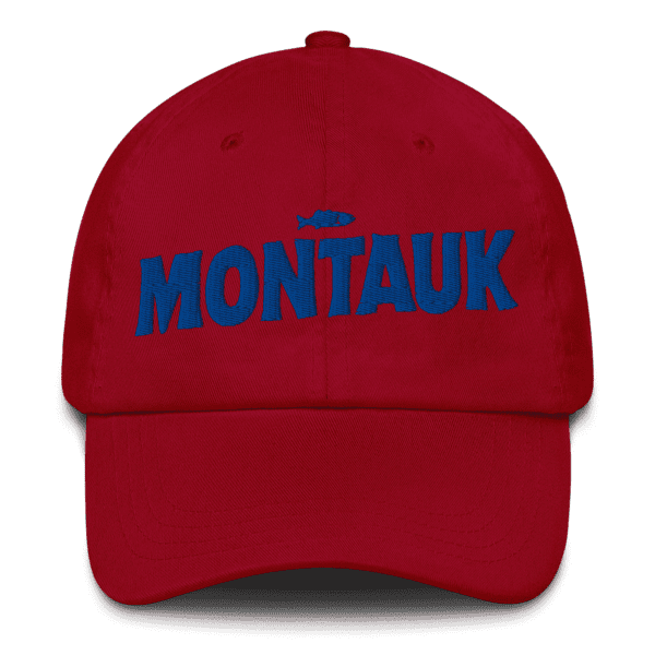 Montauk Dad Hat - Daily Commuter