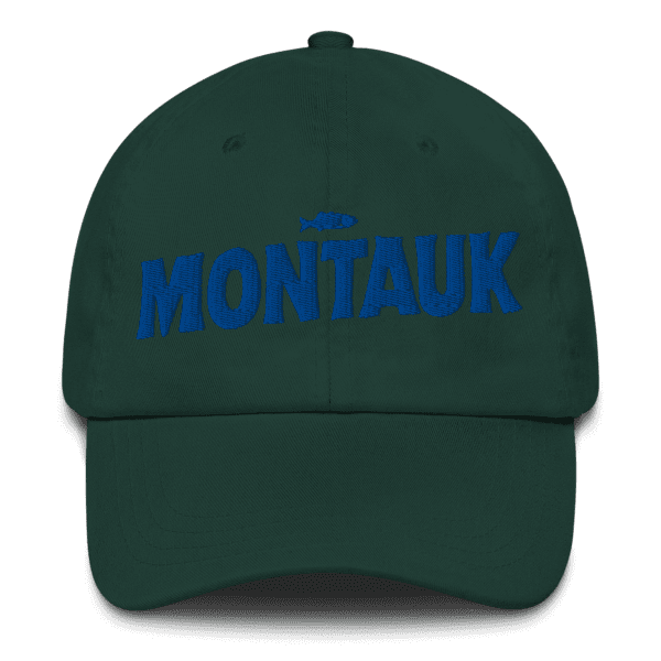 Montauk Dad Hat - Daily Commuter
